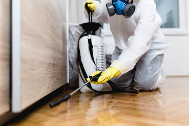 Best Best Pest Control Companies  in Keeler Farm, NM