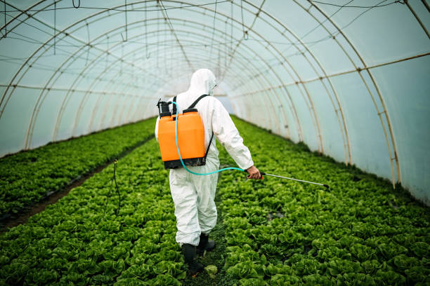 Best Local Pest Control Services  in Keeler Farm, NM