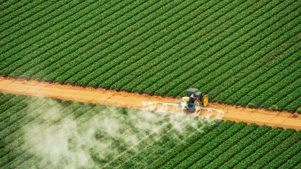 Best Wasp Removal Services  in Keeler Farm, NM