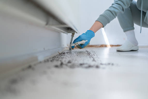 Best Mosquito Control Services  in Keeler Farm, NM
