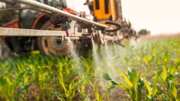 Best Exterminator Services  in Keeler Farm, NM